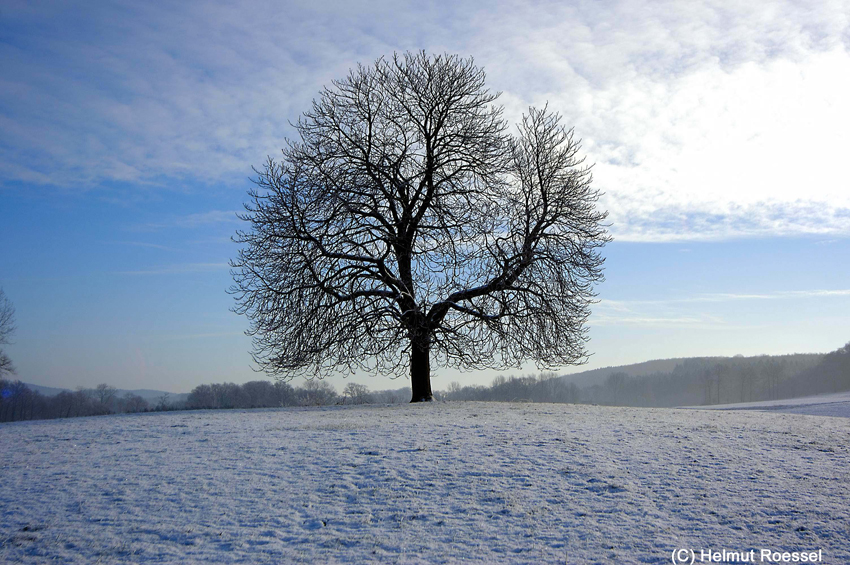Winter