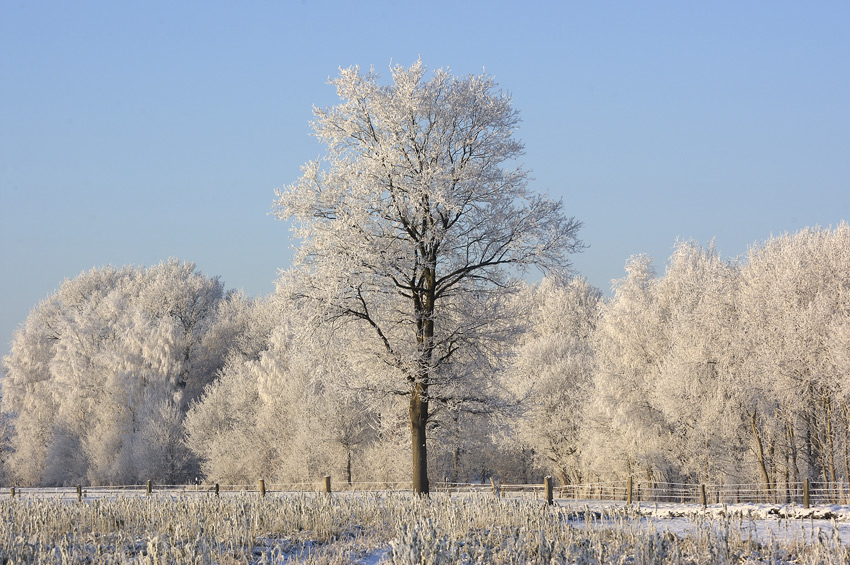 Im Winter