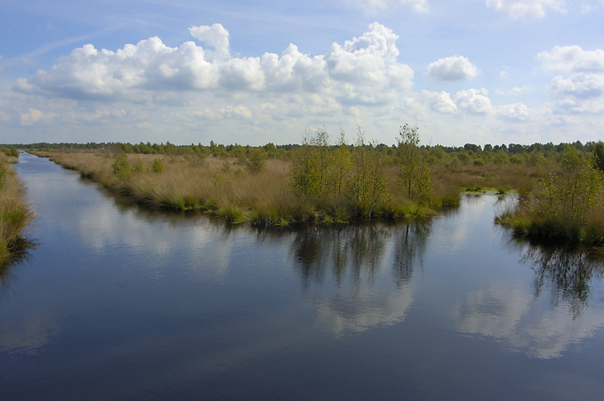 Moorlandschaft im Emsland