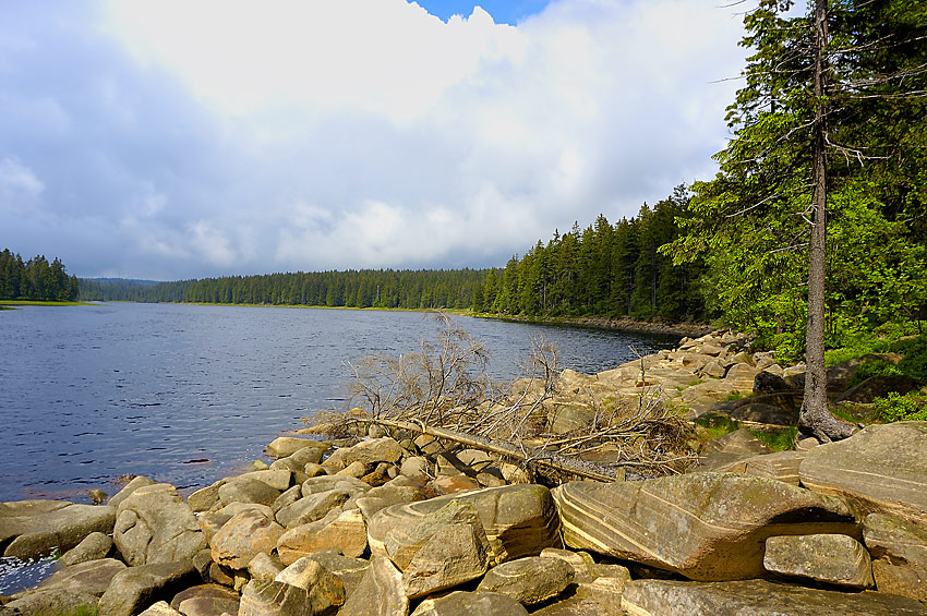 Der Oderteich
