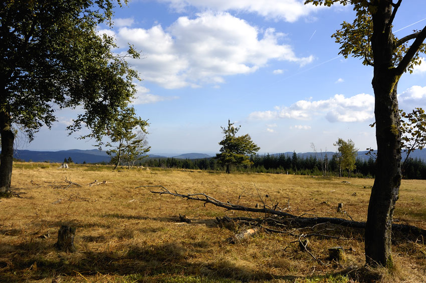 Auf dem Kahlen Asten