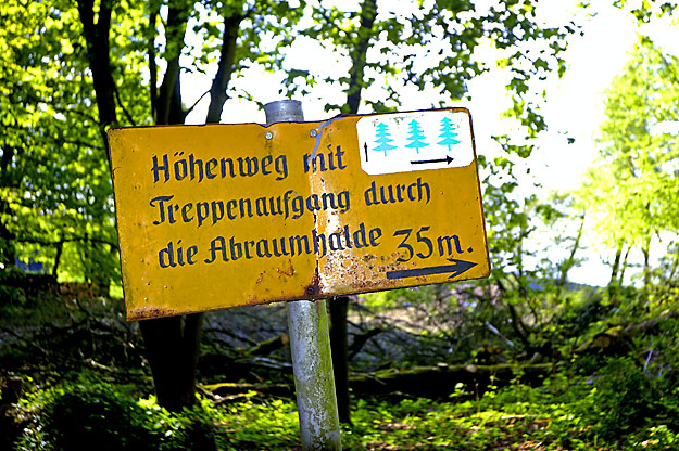 Weg zur Abraumhalde der ehemalige Zeche Hilterberg
