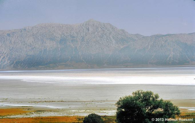 Salzsee Acig&ouml;l