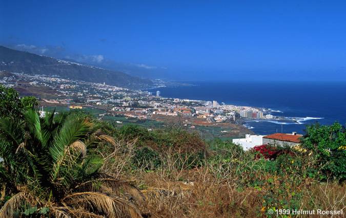 Puerto de la Cruz