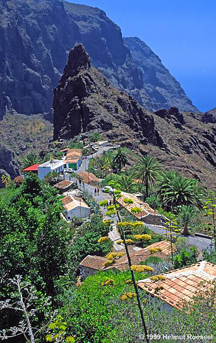 Masca