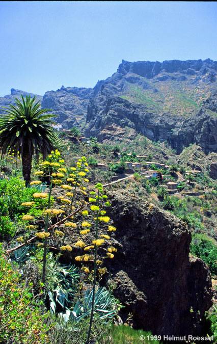 Masca