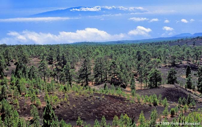 Blick nach Gran Canaria