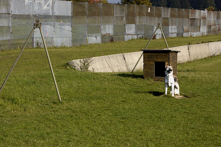 Hundelaufanlage